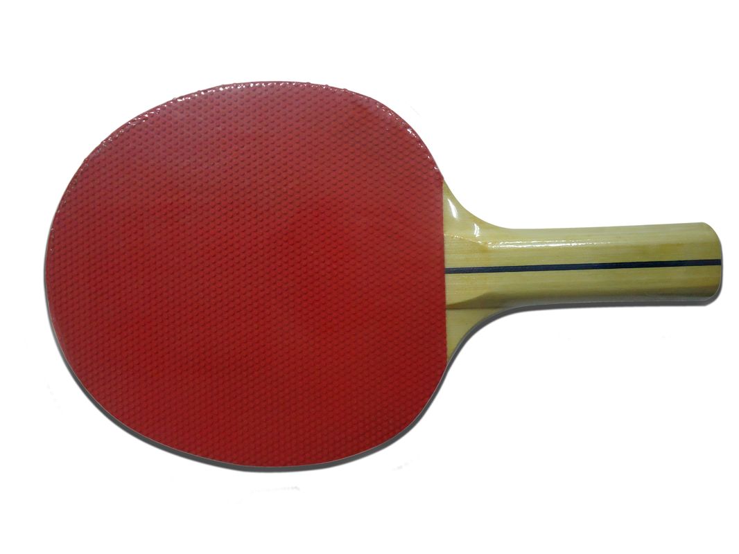 Estafas de tenis de mesa del principiante 6 capas de la espinilla del álamo hacia fuera sin la esponja